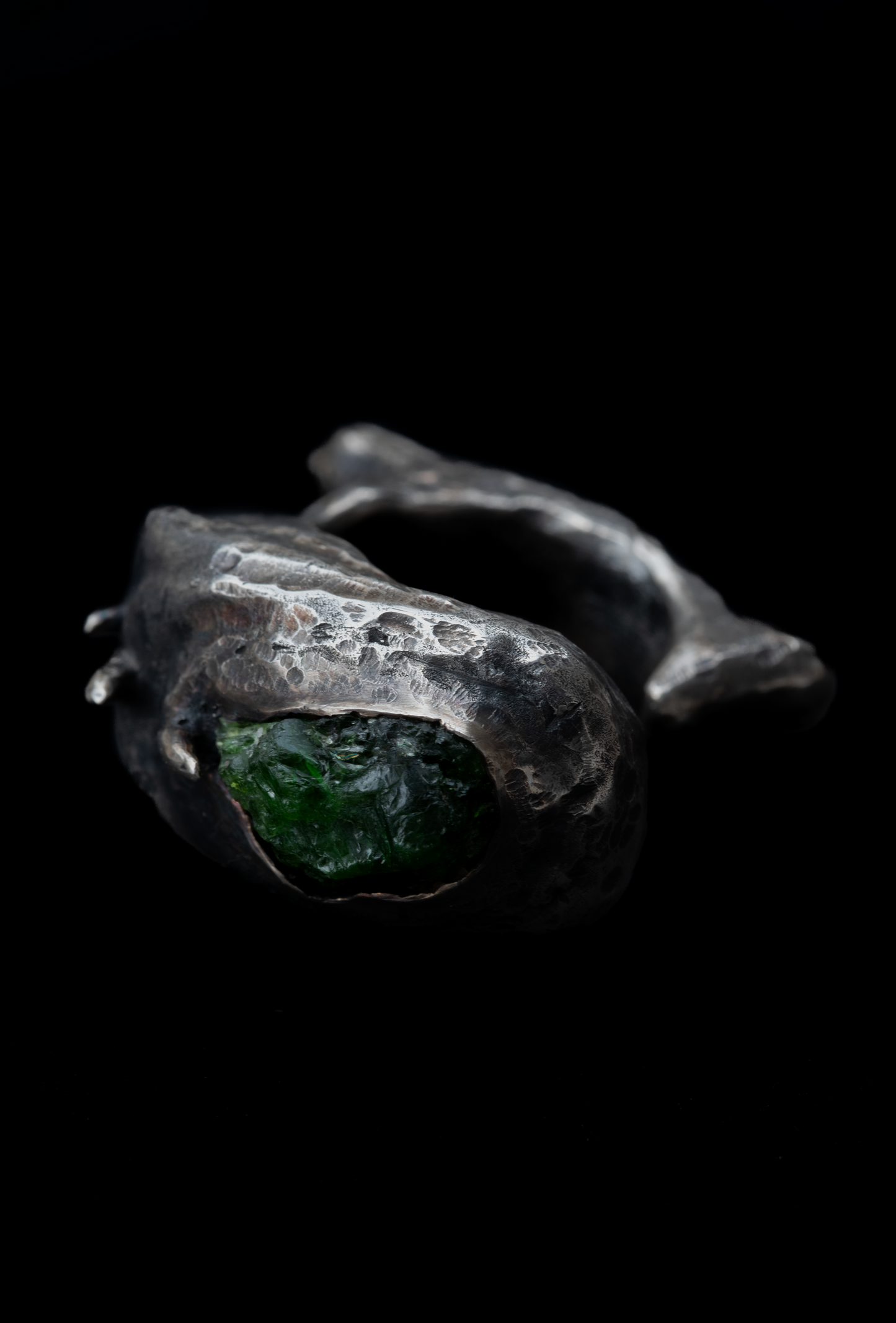 ~NAUTYLYD~ ph.II RING