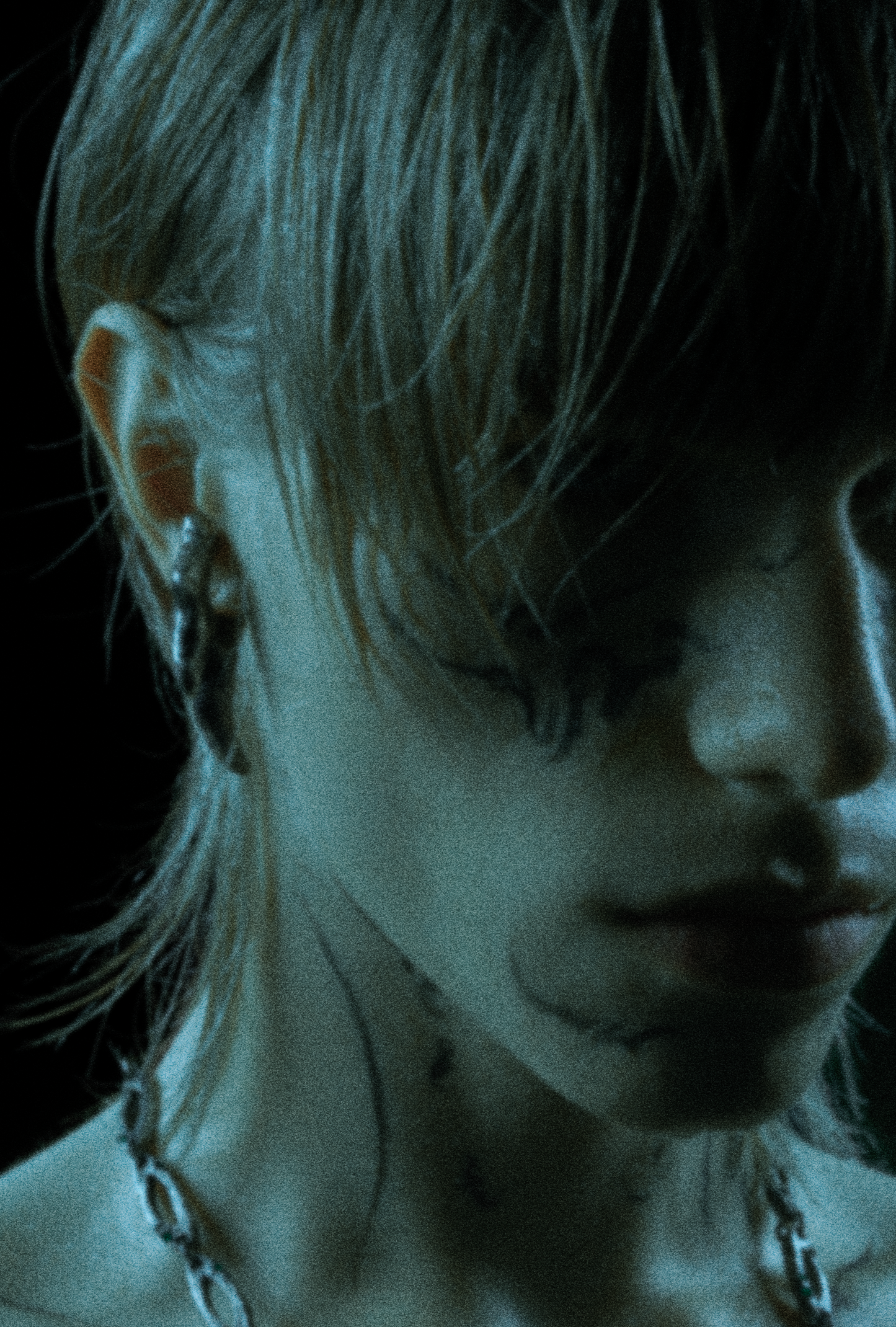 ~NAUTYLYD~ ph.I EAR ORNAMENTS (pair)