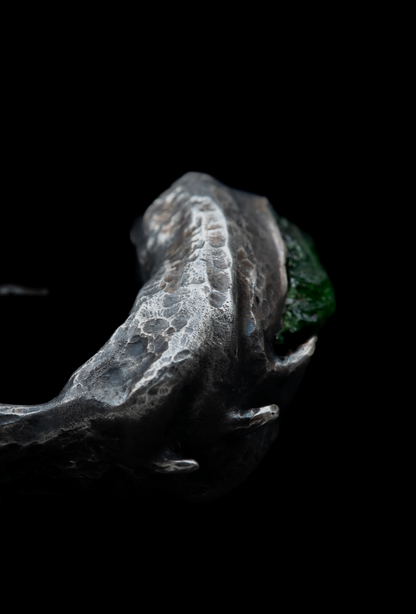 ~NAUTYLYD~ ph.II RING