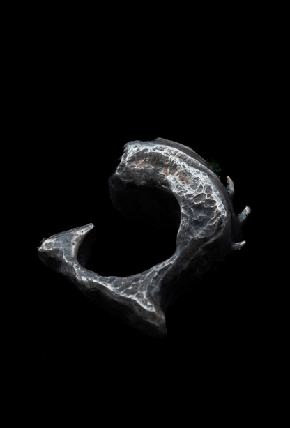 ~NAUTYLYD~ ph.II RING