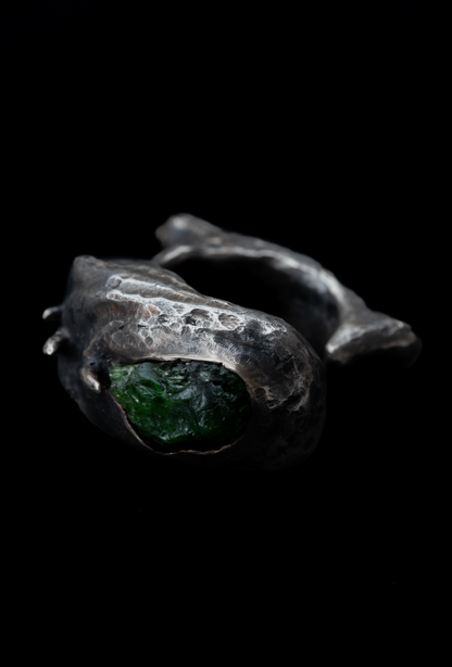 ~NAUTYLYD~ ph.II RING
