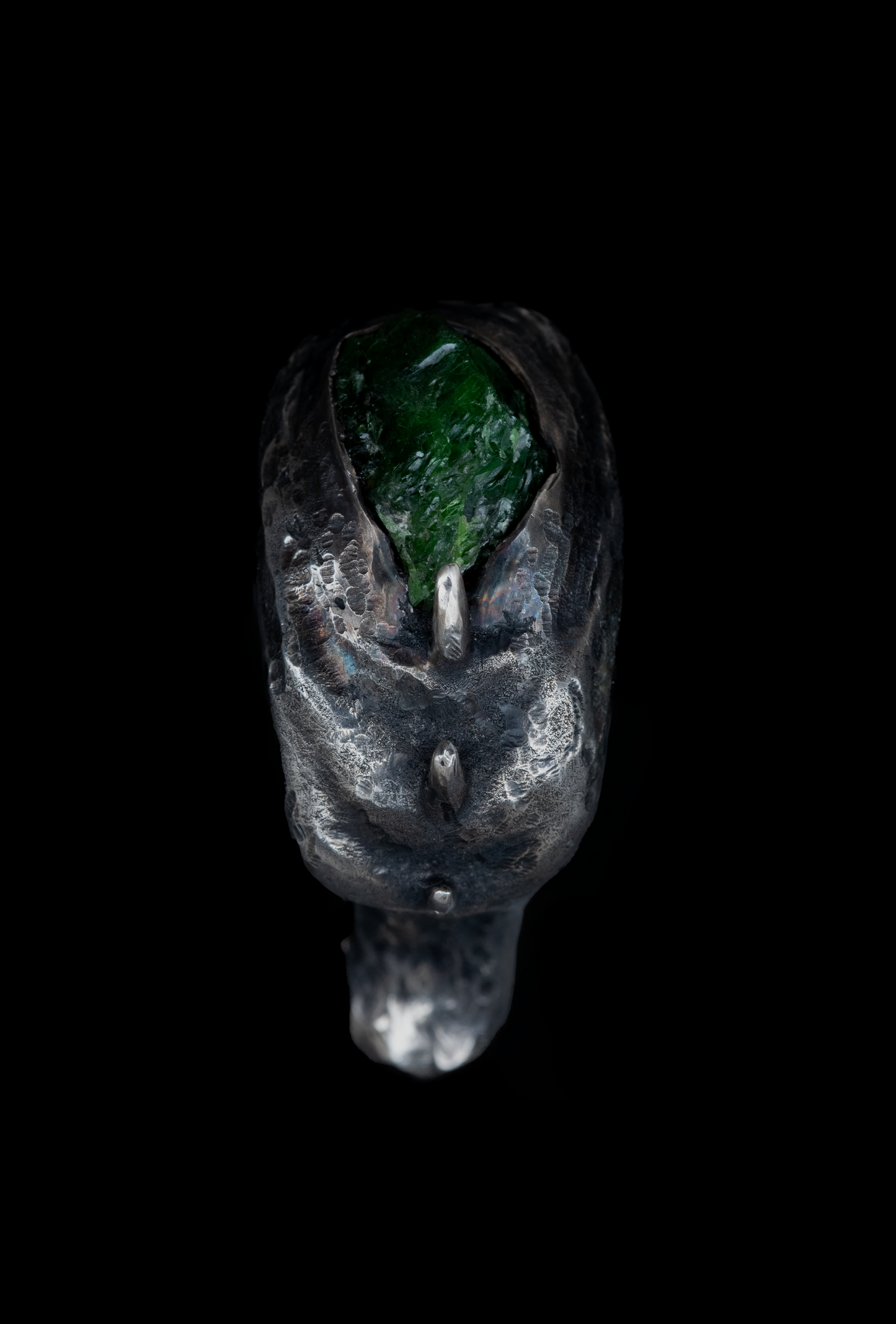 ~NAUTYLYD~ ph.II RING
