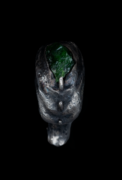 ~NAUTYLYD~ ph.II RING