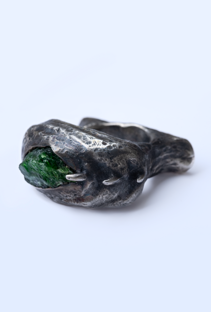 ~NAUTYLYD~ ph.II RING
