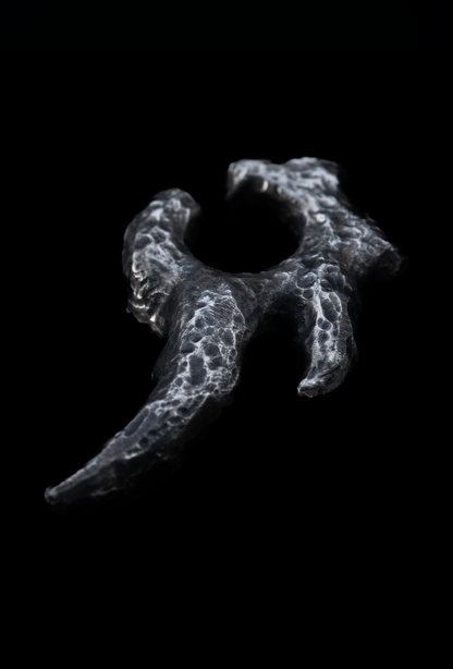 ~NAUTYLYD~ ph.I EAR ORNAMENT