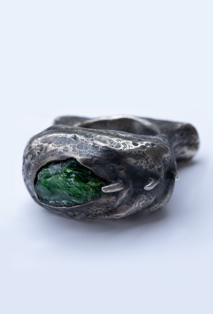 ~NAUTYLYD~ ph.II RING